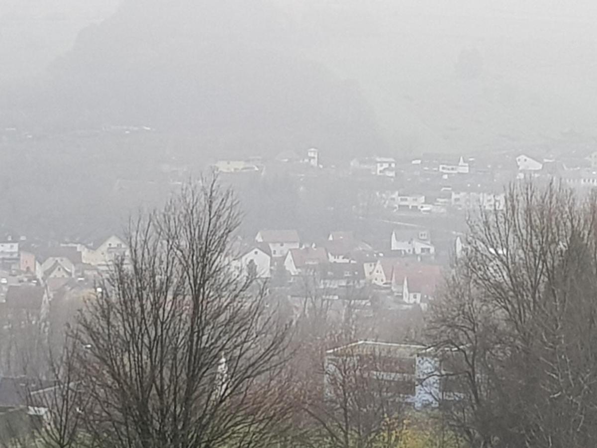 Ferienwohnung "Hagebutze" Mit Sauna Und Schwimmbad Bad Lauterberg Luaran gambar