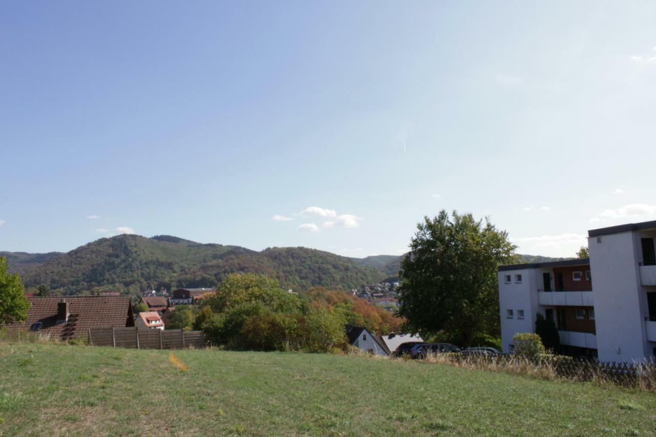 Ferienwohnung "Hagebutze" Mit Sauna Und Schwimmbad Bad Lauterberg Luaran gambar