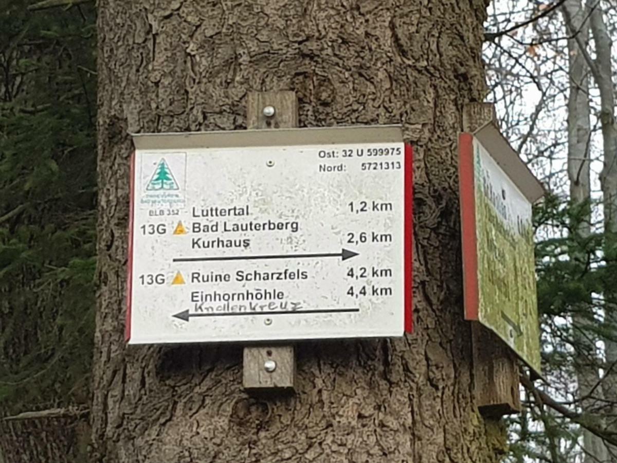Ferienwohnung "Hagebutze" Mit Sauna Und Schwimmbad Bad Lauterberg Luaran gambar