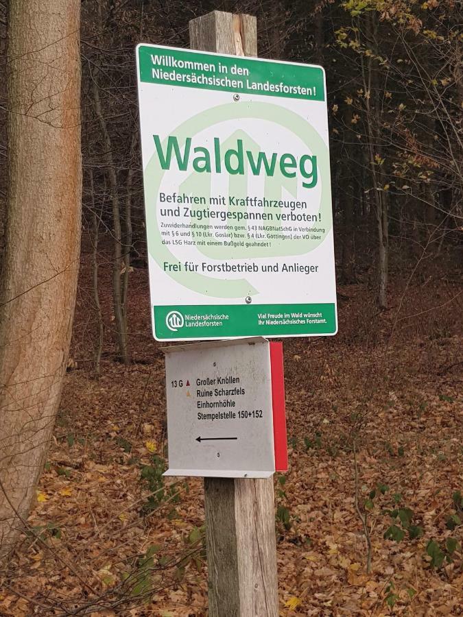 Ferienwohnung "Hagebutze" Mit Sauna Und Schwimmbad Bad Lauterberg Luaran gambar