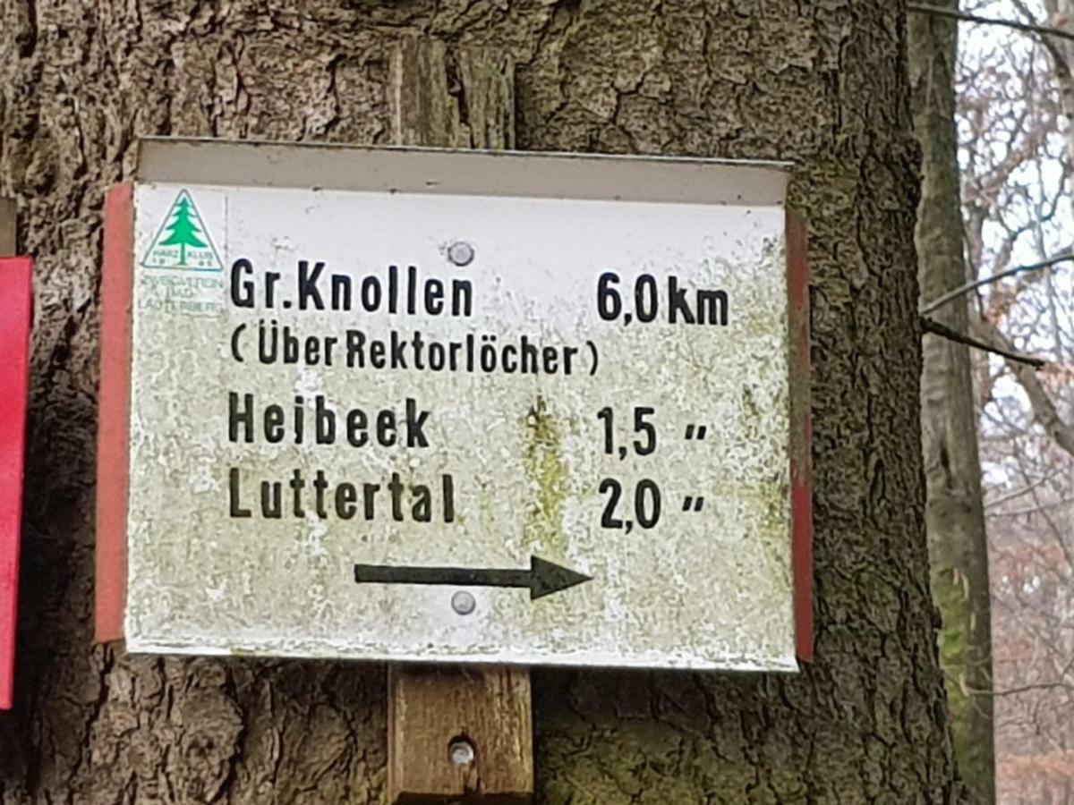 Ferienwohnung "Hagebutze" Mit Sauna Und Schwimmbad Bad Lauterberg Luaran gambar